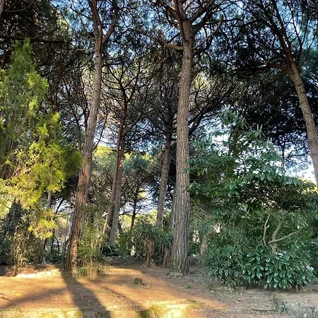 Appartamento Alba Nel Cuore Della Pineta *